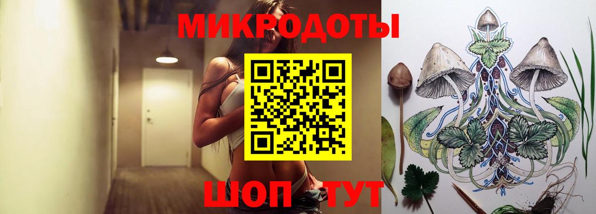 Славянск-на-Кубани  как найти   Вход с VPN  Псилоцибиновые грибы GOLDEN TEACHER 